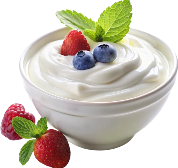 Yogurt Pump