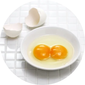 Egg Yolk